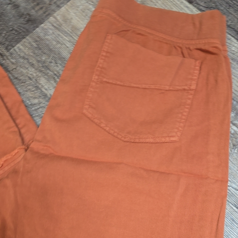 Burnt Orange Flared Pants - Picture 7 of 9